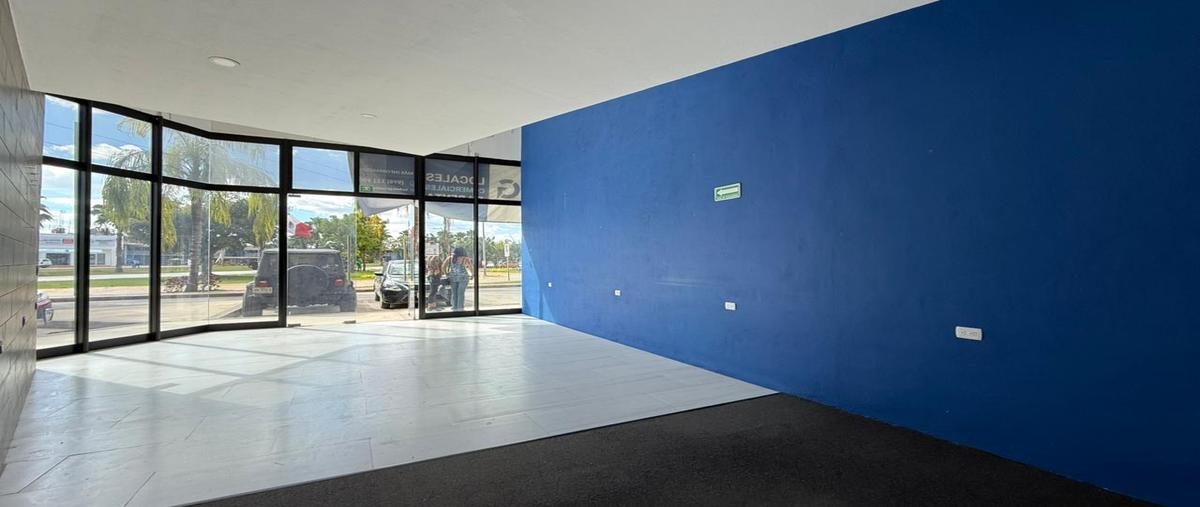 Foto de local en renta en  , arbolada, benito juárez, quintana roo, 0 No. 03