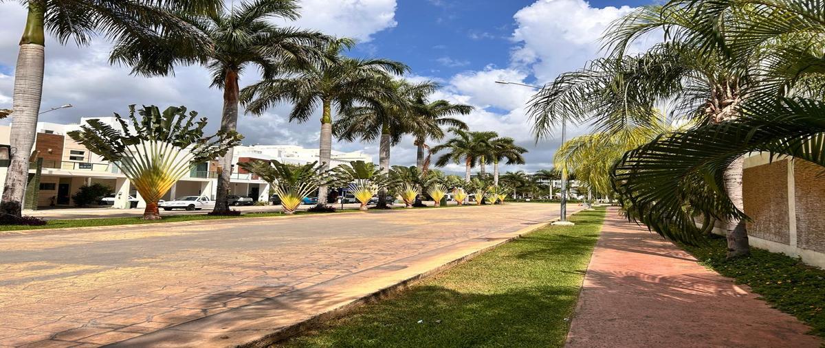 Foto de terreno habitacional en venta en  , arbolada, benito juárez, quintana roo, 0 No. 03