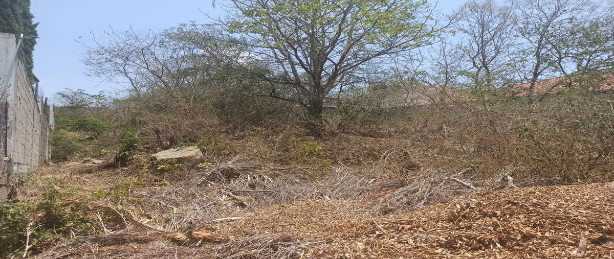 Foto de terreno habitacional en venta en arboleda , campestre arenal, tuxtla gutiérrez, chiapas, 26352847 No. 03