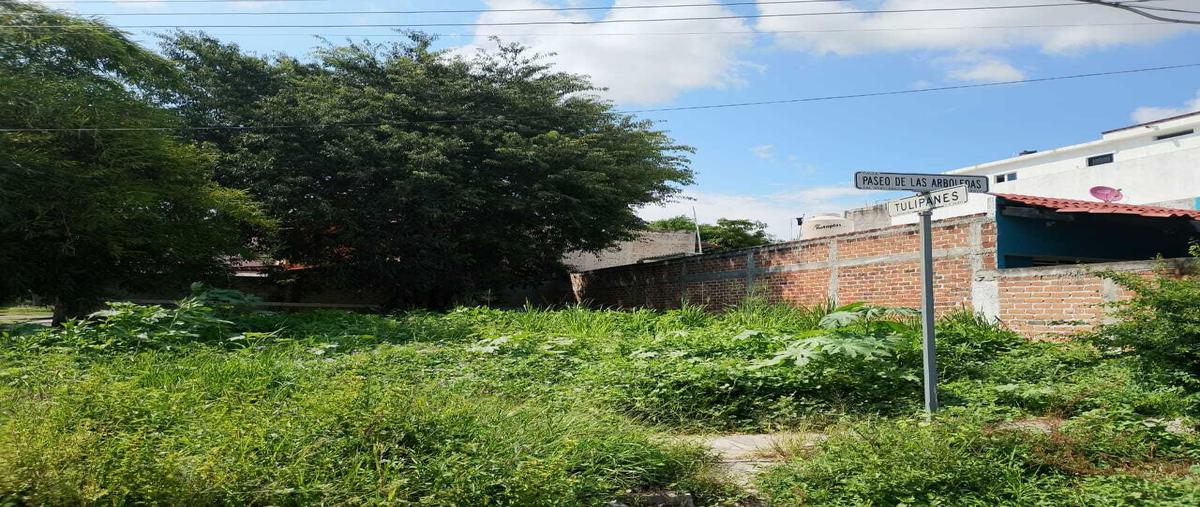 Foto de terreno habitacional en venta en  , arboledas, colima, colima, 0 No. 05