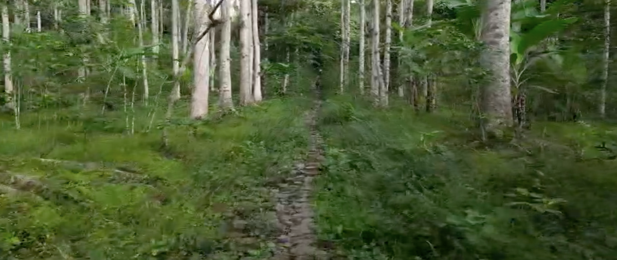 Foto de terreno habitacional en venta en  , arboledas san pedro, coatepec, veracruz de ignacio de la llave, 26997641 No. 04