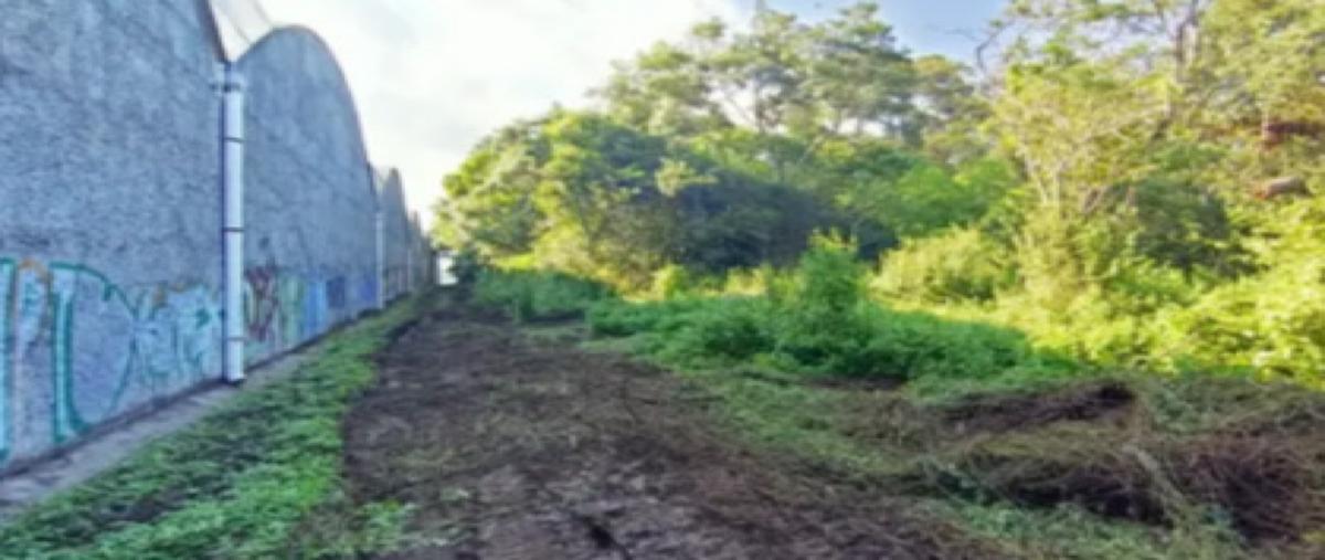 Foto de terreno habitacional en , arboledas san pedro, coatepec, veracruz de ignacio de la llave, 0 foto 02 Foto de terreno habitacional en venta en , arboledas san pedro, coatepec, veracruz de ignacio de la llave, 0 No. 02