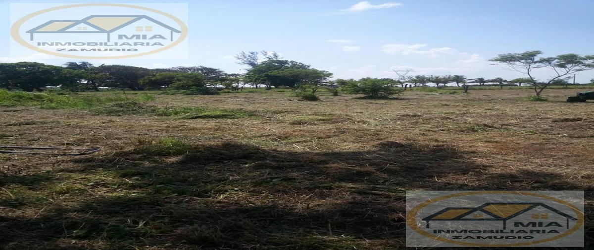 Foto de terreno habitacional en , arbolillo, alvarado, veracruz de ignacio de la llave, 0 foto 05 Foto de terreno habitacional en venta en , arbolillo, alvarado, veracruz de ignacio de la llave, 0 No. 05