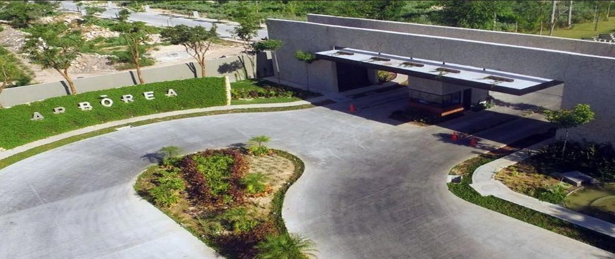 Foto de terreno habitacional en venta en arborea , conkal, conkal, yucatán, 27386807 No. 03
