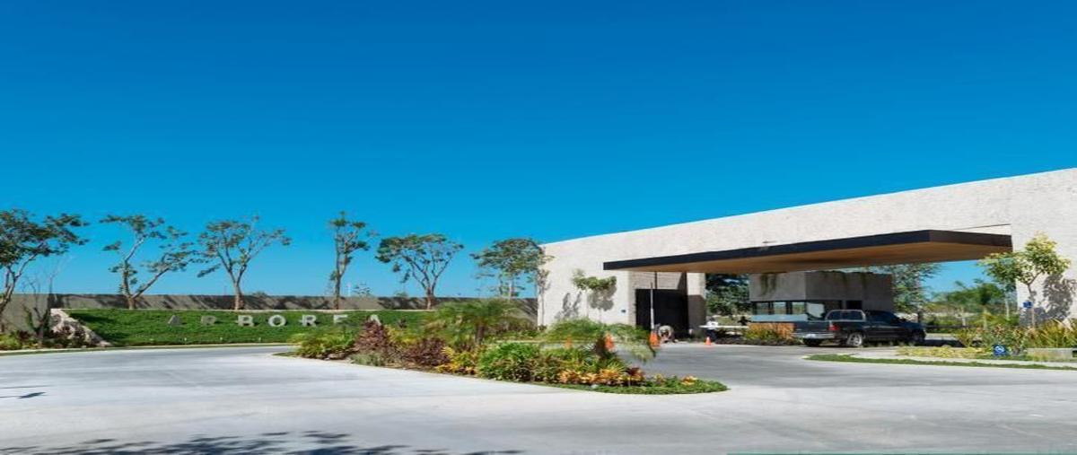 Foto de terreno habitacional en venta en arborea , conkal, conkal, yucatán, 28182375 No. 05