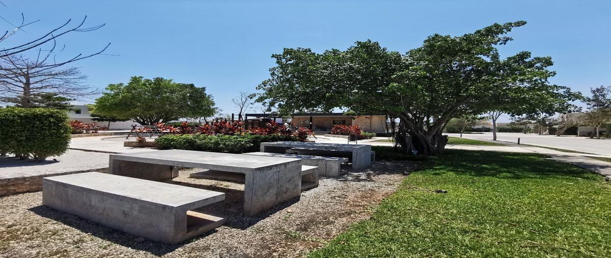 Foto de terreno habitacional en arborea , conkal, conkal, yucatán, 30084901 foto 04 Foto de terreno habitacional en venta en arborea , conkal, conkal, yucatán, 30084901 No. 04