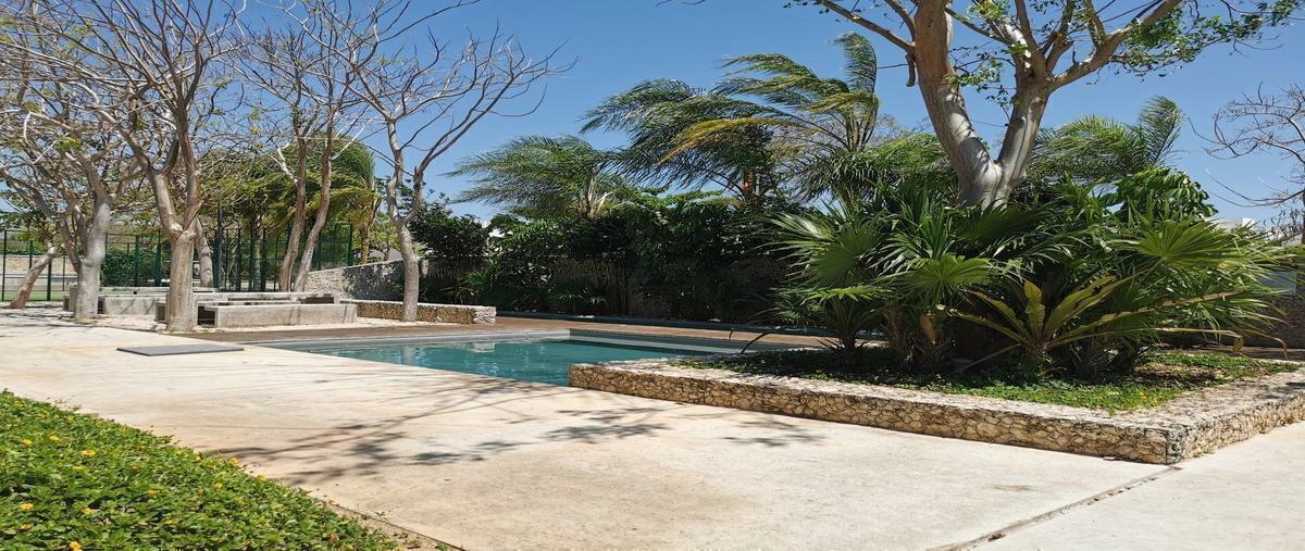 Foto de terreno habitacional en arborea , conkal, conkal, yucatán, 30084901 foto 05 Foto de terreno habitacional en venta en arborea , conkal, conkal, yucatán, 30084901 No. 05