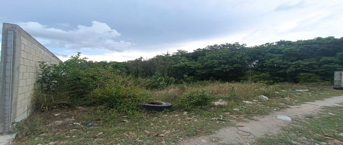 Foto de terreno habitacional en renta en arco vial s/n , ejidal, solidaridad, quintana roo, 0 No. 02