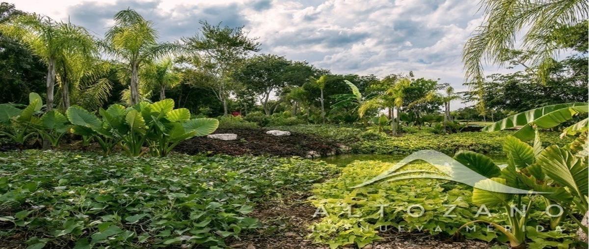 Foto de terreno habitacional en venta en  , arcos del sol, mérida, yucatán, 0 No. 03