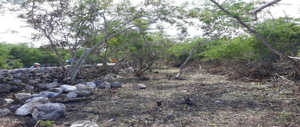 Foto de terreno habitacional en , arcos del sol, mérida, yucatán, 0 foto 04 Foto de terreno habitacional en venta en , arcos del sol, mérida, yucatán, 0 No. 04