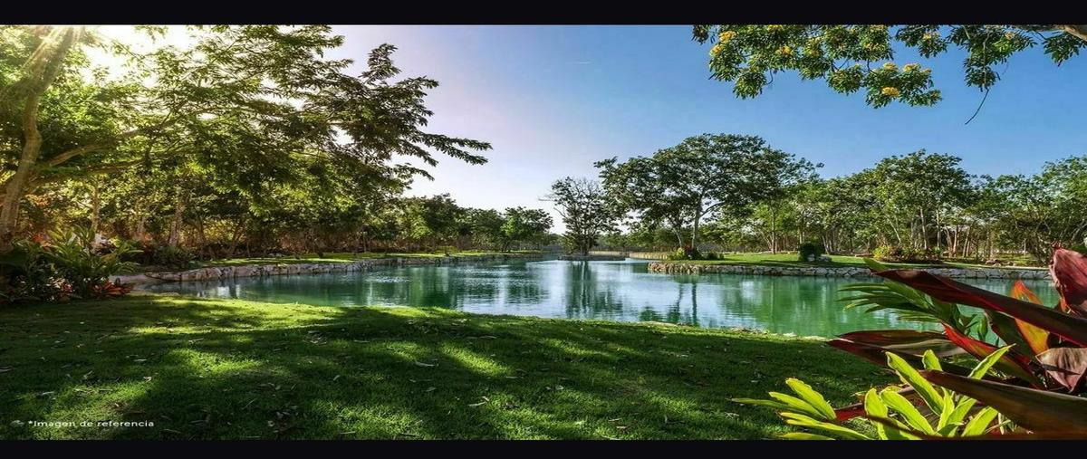 Foto de terreno habitacional en venta en  , arcos del sol, mérida, yucatán, 30687416 No. 04