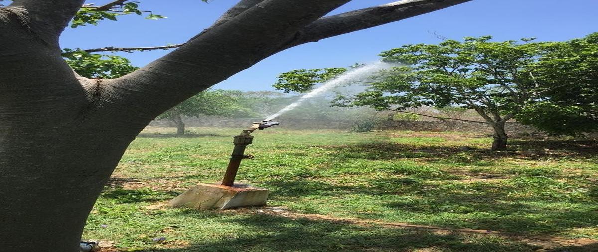 Foto de rancho en venta en  , arcos del sol, mérida, yucatán, 0 No. 04