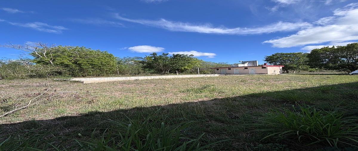 Foto de rancho en venta en  , arcos del sol, mérida, yucatán, 0 No. 05