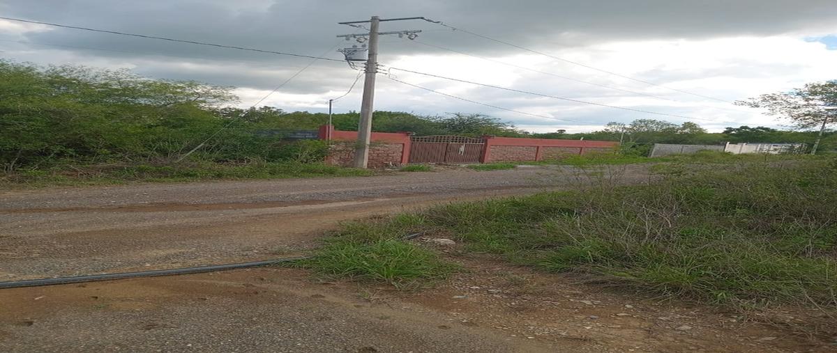 Foto de terreno habitacional en venta en ardillas , montemorelos centro, montemorelos, nuevo león, 0 No. 05