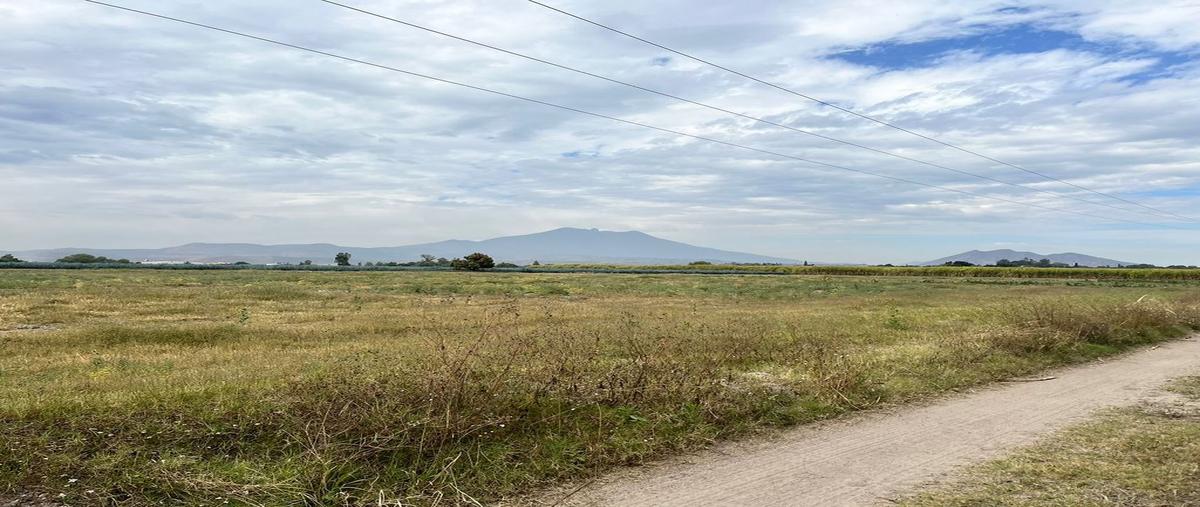 Foto de terreno comercial en venta en arenal , santa cruz del astillero, el arenal, jalisco, 0 No. 03