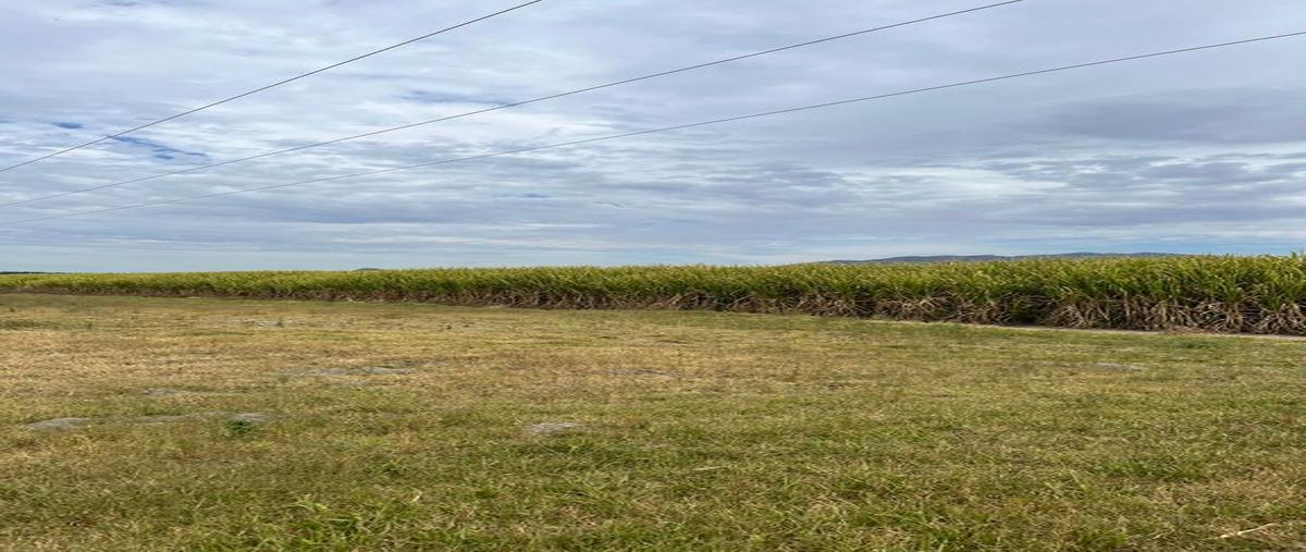 Foto de terreno comercial en venta en arenal , santa cruz del astillero, el arenal, jalisco, 0 No. 05