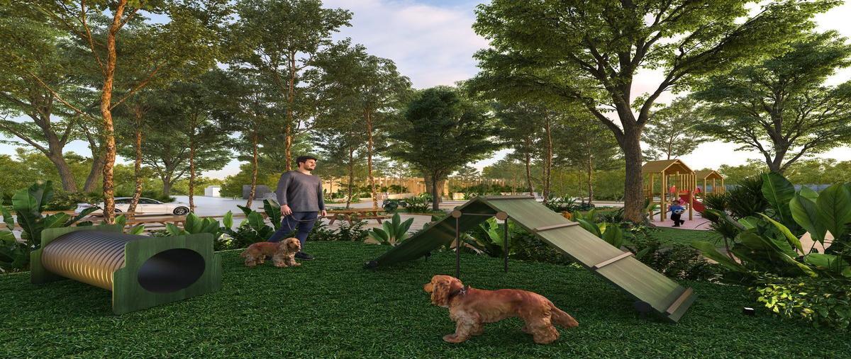 Foto de terreno habitacional en venta en aria , cholul, mérida, yucatán, 26742990 No. 04