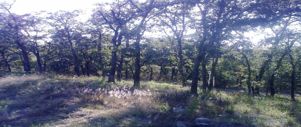 Foto de terreno industrial en aribau 51 b, campestre haras, amozoc, puebla, 26341652 foto 03 Foto de terreno industrial en venta en aribau 51 b, campestre haras, amozoc, puebla, 26341652 No. 03