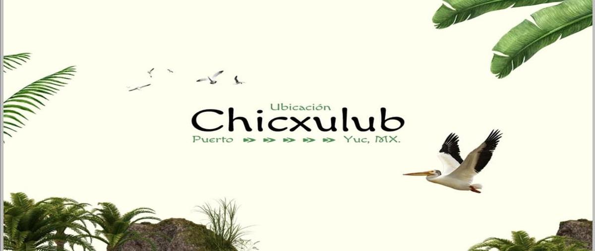Foto de terreno habitacional en arkaan , chicxulub, chicxulub pueblo, yucatán, 0 foto 03 Foto de terreno habitacional en venta en arkaan , chicxulub, chicxulub pueblo, yucatán, 0 No. 03