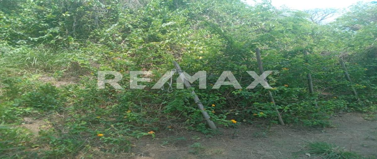 Foto de terreno habitacional en armada de mexico , anton lizardo, alvarado, veracruz de ignacio de la llave, 0 foto 05 Foto de terreno habitacional en venta en armada de mexico , anton lizardo, alvarado, veracruz de ignacio de la llave, 0 No. 05
