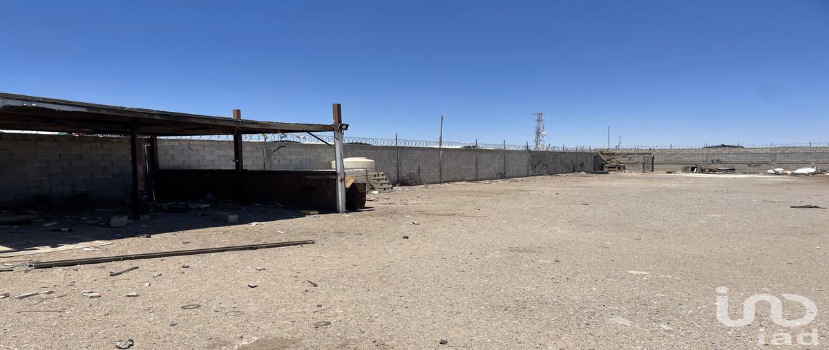 Foto de terreno comercial en renta en armando chavez , salvacar de juárez, juárez, chihuahua, 30585635 No. 05