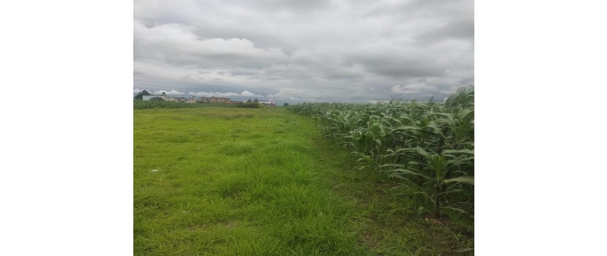 Foto de terreno habitacional en venta en  , armando neyra chavez, toluca, méxico, 0 No. 03