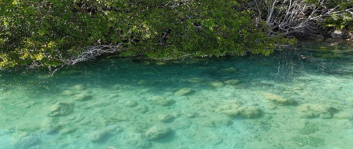 Foto de terreno habitacional en venta en aron merino , bacalar dos, bacalar, quintana roo, 0 No. 04