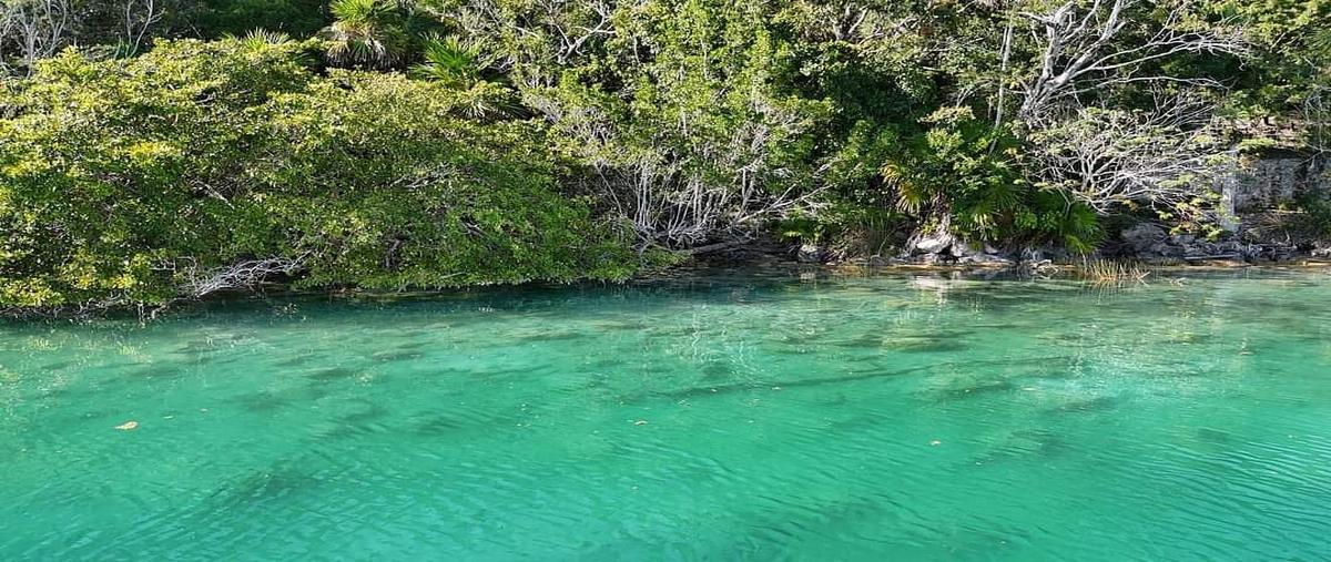 Foto de terreno habitacional en venta en aron merino , bacalar dos, bacalar, quintana roo, 0 No. 05