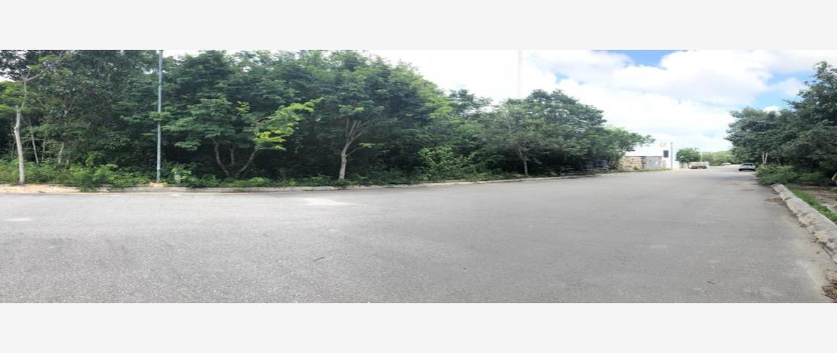 Foto de terreno habitacional en arrecifes 000000001, los arrecifes, solidaridad, quintana roo, 0 foto 01 Foto de terreno habitacional en venta en arrecifes 000000001, los arrecifes, solidaridad, quintana roo, 0 No. 01