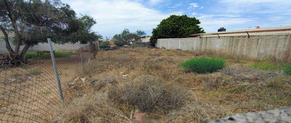 Foto de terreno habitacional en venta en arrecifes , vista del mar, ensenada, baja california, 0 No. 03
