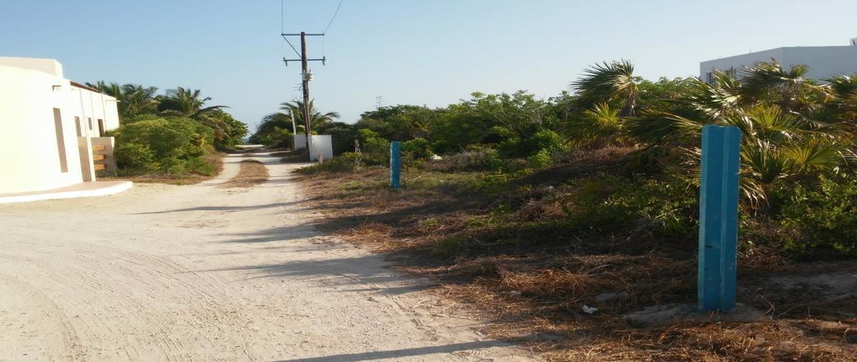 Foto de terreno habitacional en venta en arretera progreso a telchac kilometro 25.5 , san diego, dzemul, yucatán, 23806666 No. 03