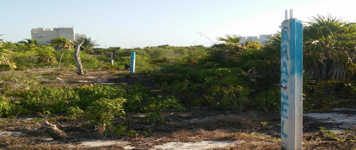 Foto de terreno habitacional en venta en arretera progreso a telchac kilometro 25.5 , san diego, dzemul, yucatán, 23806666 No. 05