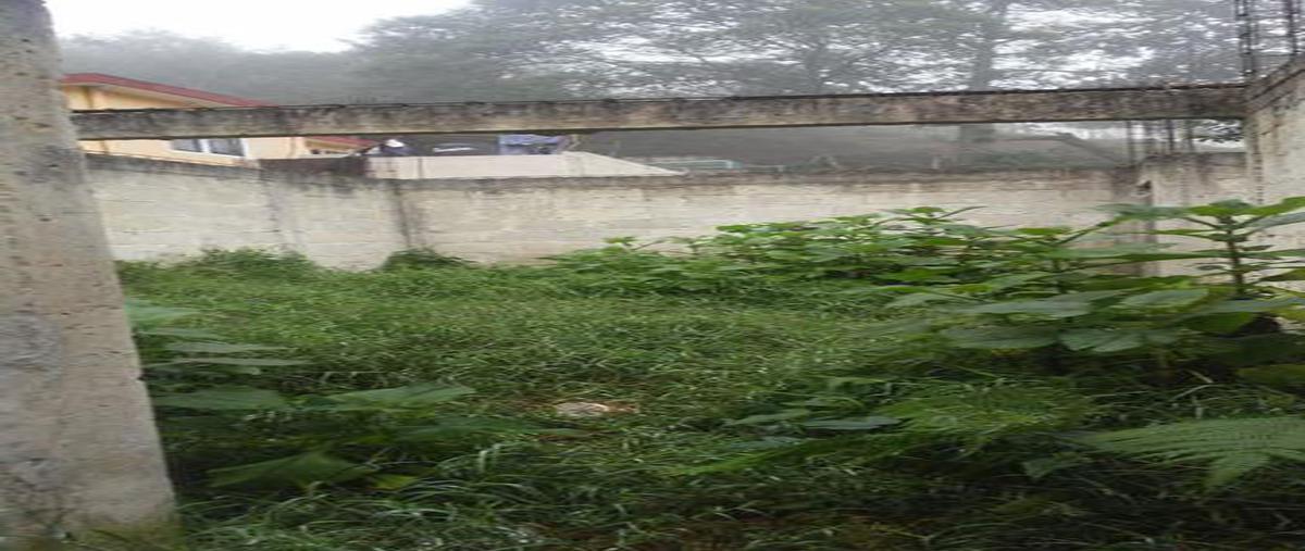 Foto de terreno habitacional en venta en  , arroyo blanco, xalapa, veracruz de ignacio de la llave, 6697819 No. 05