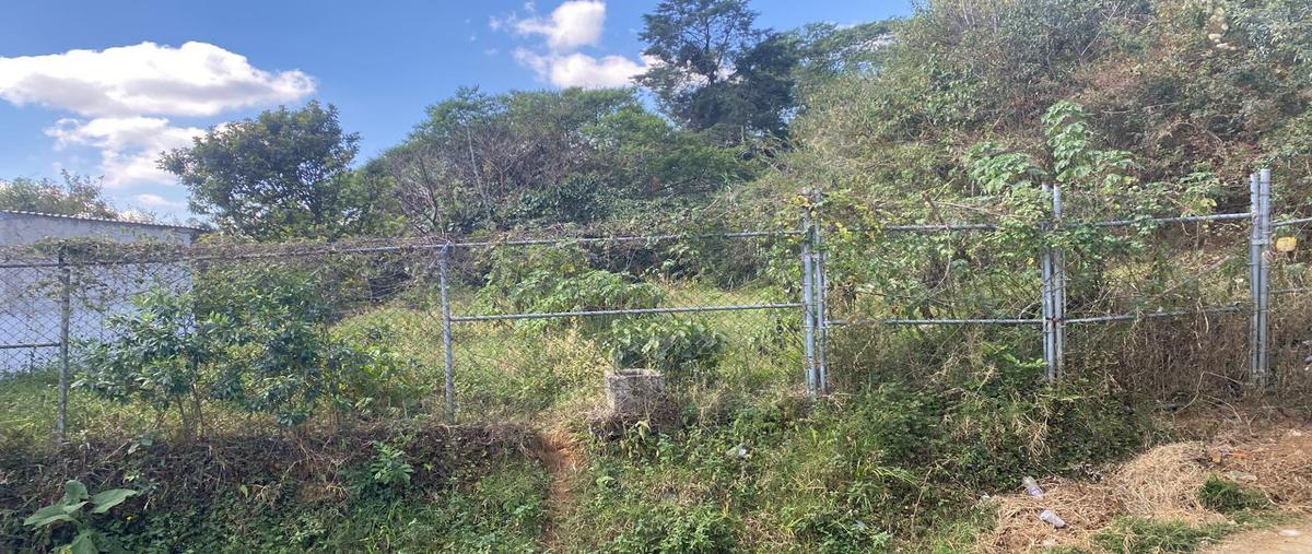 Foto de terreno habitacional en , arroyo blanco, xalapa, veracruz de ignacio de la llave, 6708304 foto 01 Foto de terreno habitacional en venta en , arroyo blanco, xalapa, veracruz de ignacio de la llave, 6708304 No. 01