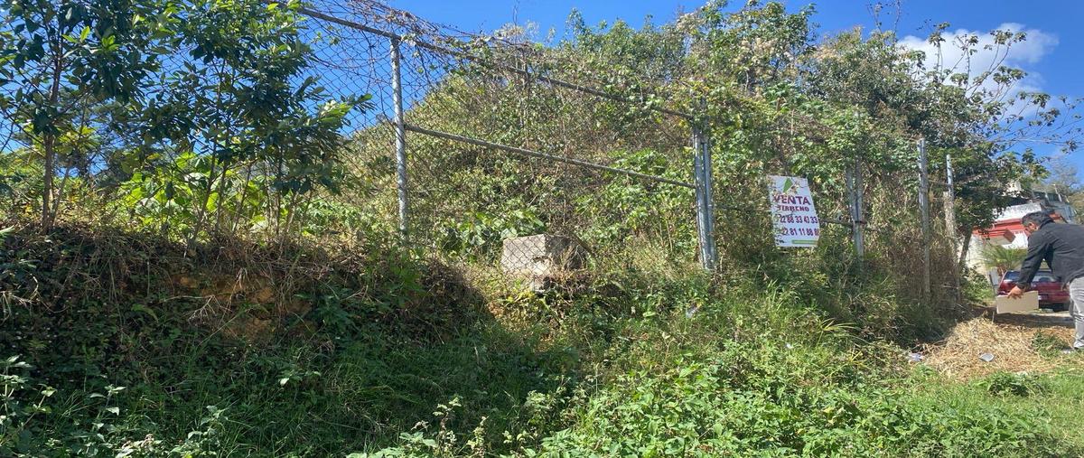 Foto de terreno habitacional en , arroyo blanco, xalapa, veracruz de ignacio de la llave, 6708304 foto 03 Foto de terreno habitacional en venta en , arroyo blanco, xalapa, veracruz de ignacio de la llave, 6708304 No. 03