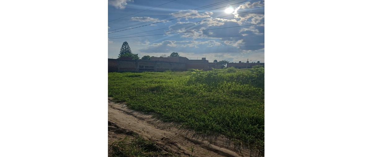 Foto de terreno habitacional en venta en  , arroyo de enmedio, tonalá, jalisco, 0 No. 03