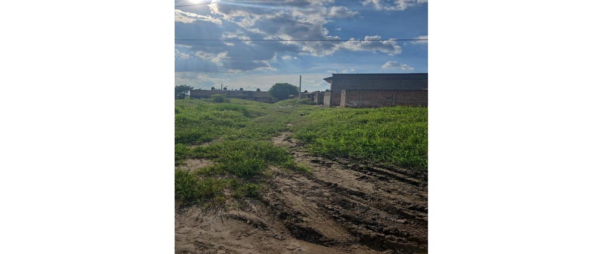 Foto de terreno habitacional en venta en  , arroyo de enmedio, tonalá, jalisco, 0 No. 05