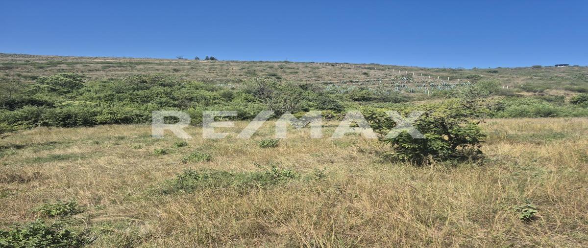 Foto de terreno habitacional en venta en arroyo de los serranos , morelos, san pablo etla, oaxaca, 0 No. 03