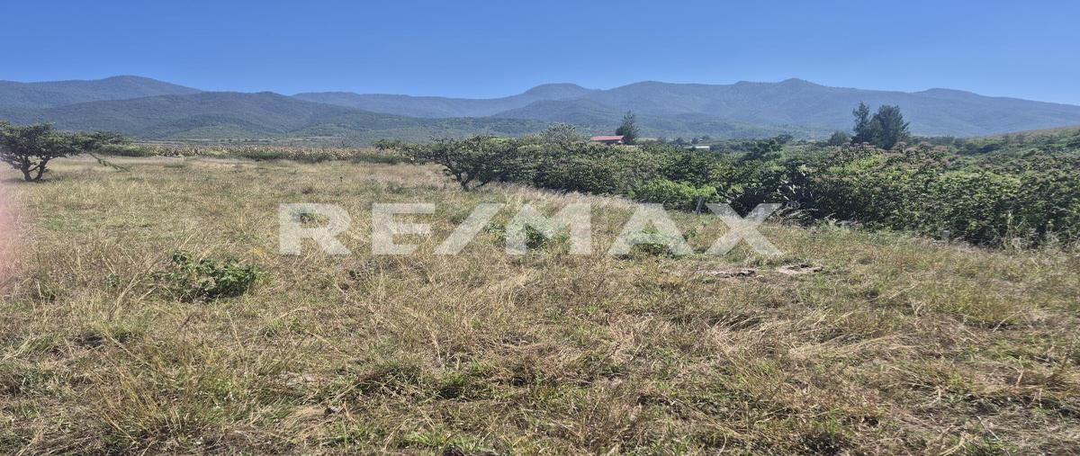 Foto de terreno habitacional en venta en arroyo de los serranos , morelos, san pablo etla, oaxaca, 0 No. 04