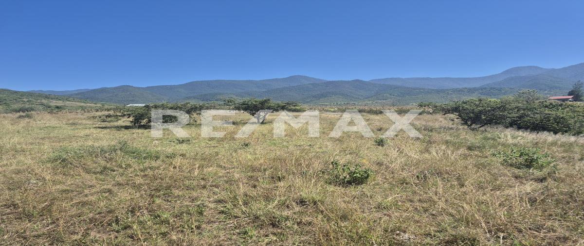 Foto de terreno habitacional en venta en arroyo de los serranos , morelos, san pablo etla, oaxaca, 0 No. 05