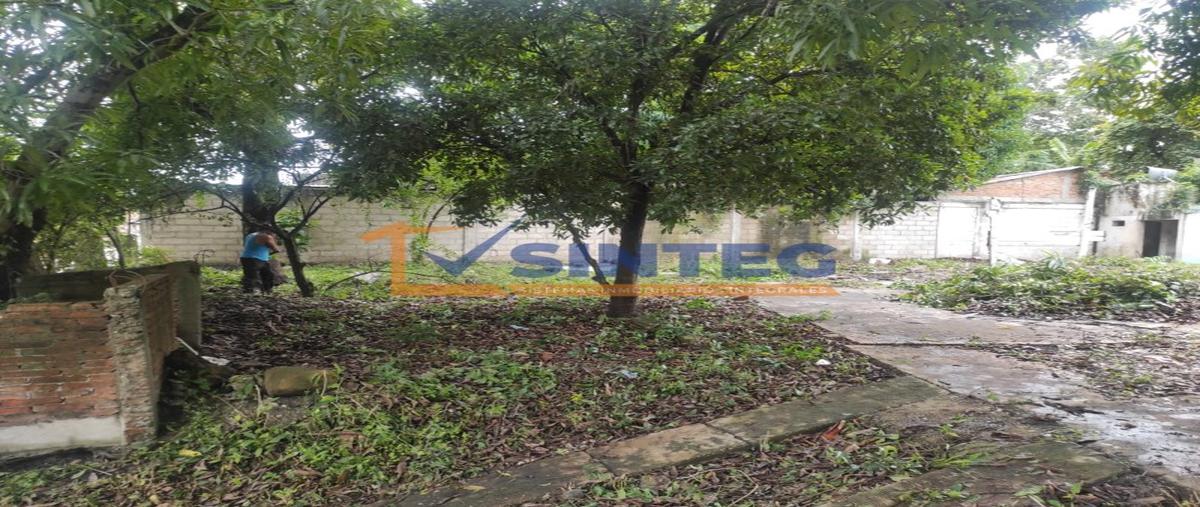 Foto de terreno habitacional en , arroyo del maíz uno, poza rica de hidalgo, veracruz de ignacio de la llave, 27411095 foto 05 Foto de terreno habitacional en venta en , arroyo del maíz uno, poza rica de hidalgo, veracruz de ignacio de la llave, 27411095 No. 05