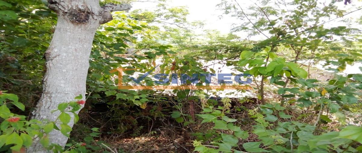 Foto de terreno habitacional en venta en  , arroyo del maíz uno, poza rica de hidalgo, veracruz de ignacio de la llave, 0 No. 03