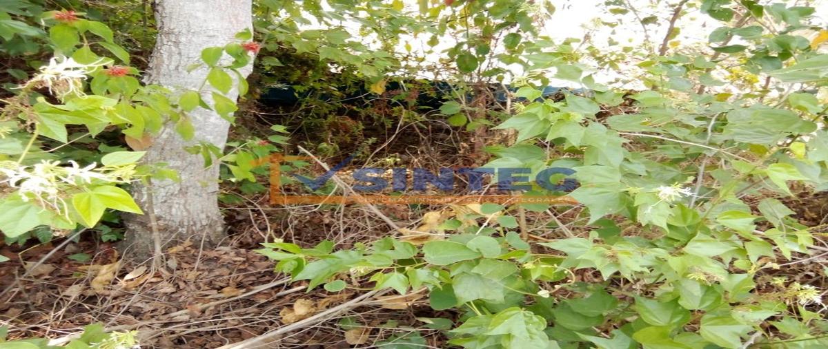 Foto de terreno habitacional en venta en  , arroyo del maíz uno, poza rica de hidalgo, veracruz de ignacio de la llave, 0 No. 04