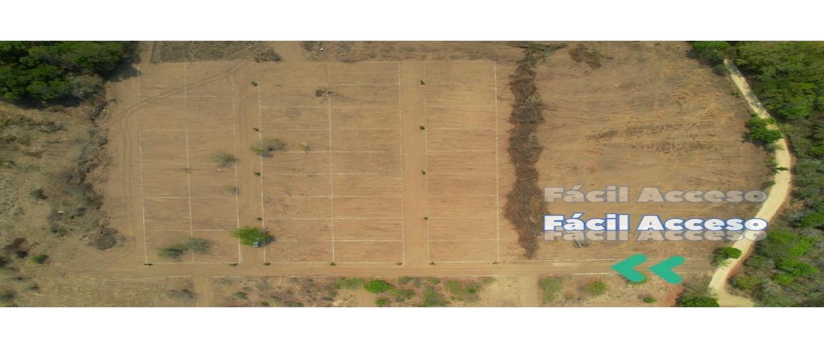 Foto de terreno habitacional en venta en  , arroyo del panteón, san pedro pochutla, oaxaca, 0 No. 05