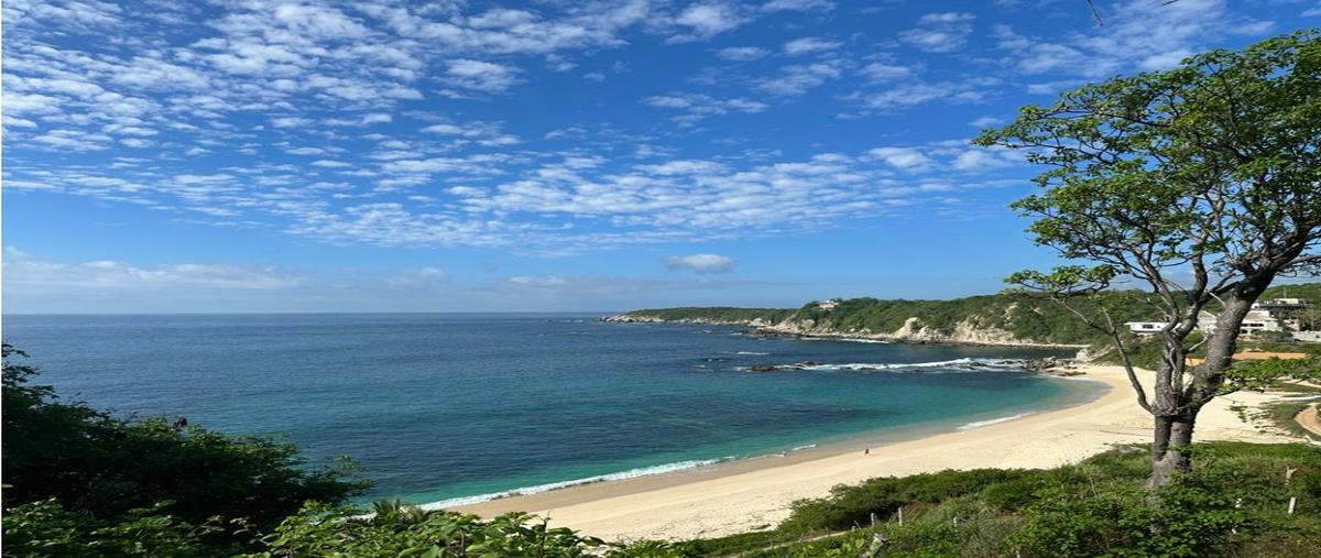 Foto de terreno habitacional en venta en  , arroyo del panteón, san pedro pochutla, oaxaca, 28463211 No. 05