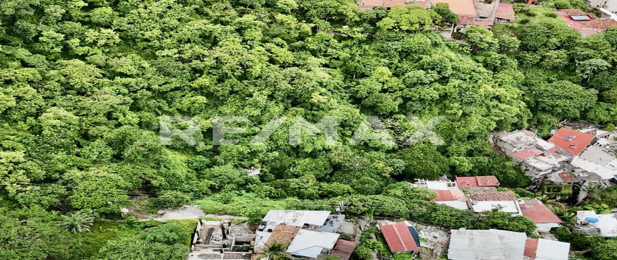 Foto de terreno habitacional en arroyo del pedregoso , el cerro, puerto vallarta, jalisco, 30281366 foto 05 Foto de terreno habitacional en venta en arroyo del pedregoso , el cerro, puerto vallarta, jalisco, 30281366 No. 05
