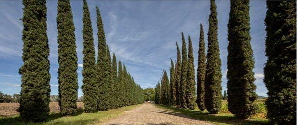 Foto de terreno habitacional en , arroyo hondo, corregidora, querétaro, 0 foto 01 Foto de terreno habitacional en venta en , arroyo hondo, corregidora, querétaro, 0 No. 01
