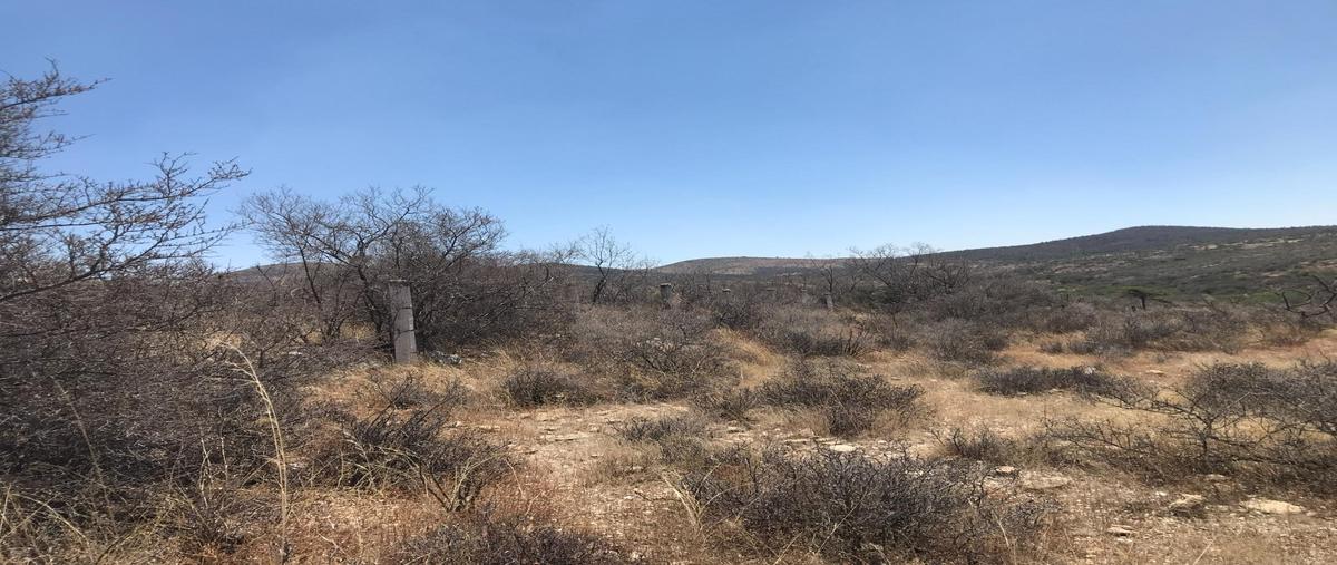 Foto de terreno habitacional en venta en  , arroyo hondo, tepezalá, aguascalientes, 0 No. 05