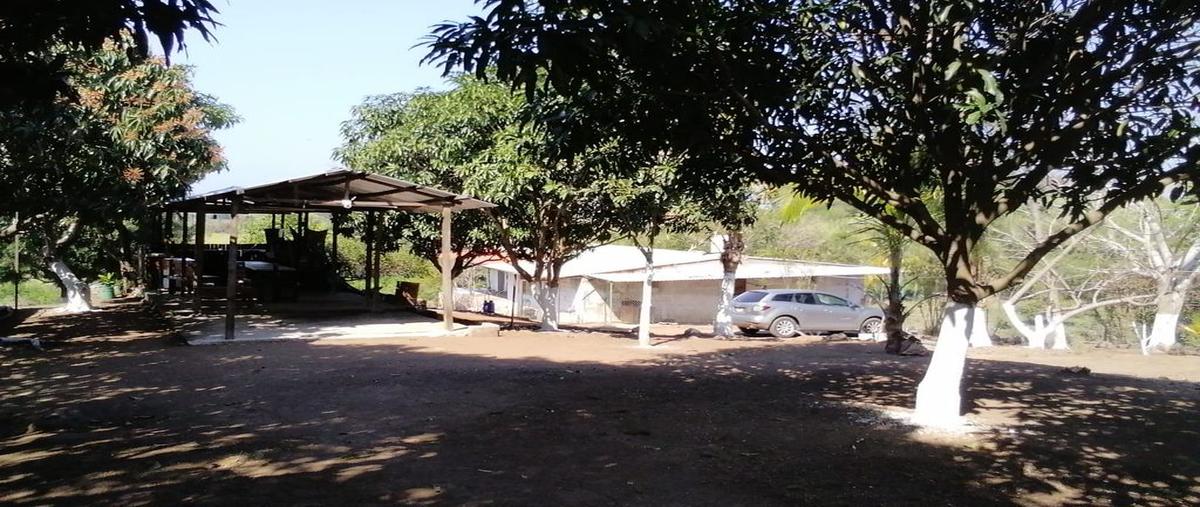 Foto de terreno habitacional en arroyo seco 91656, paso mariano, puente nacional, veracruz de ignacio de la llave, 0 foto 04 Foto de terreno habitacional en venta en arroyo seco 91656, paso mariano, puente nacional, veracruz de ignacio de la llave, 0 No. 04