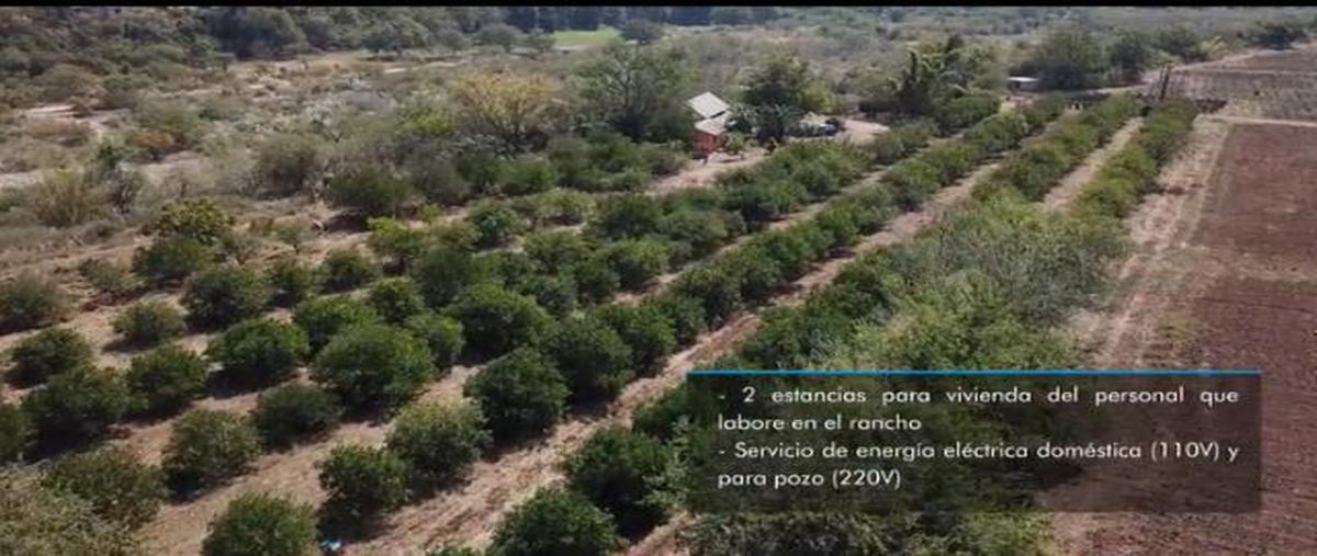 Foto de terreno habitacional en venta en  , arroyo seco, arroyo seco, querétaro, 19215159 No. 03